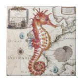 Seepferd schäbig fliese (Vorderseite)