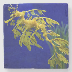 Seepferd Steinuntersetzer