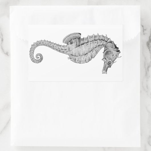 Seepferd Stickers (Tasche)