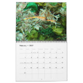 Seepferd- und Drachenkalender Kalender (Feb 2027)