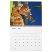 Seepferd- und Drachenkalender Kalender (Jan 2027)