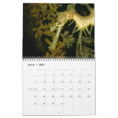 Seepferd- und Drachenkalender Kalender (Mär 2027)