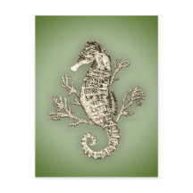 Seepferd und Korallen im grünen Hintergrund