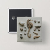 Seepferd und Muscheln Button (Vorne & Hinten)