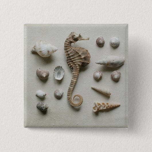 Seepferd und Muscheln Button (Vorderseite)