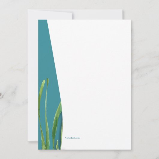 Seepferd und Muscheln Einladung (Rückseite)