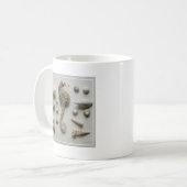 Seepferd und Muscheln Kaffeetasse (Vorderseite Links)