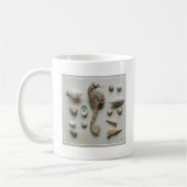 Seepferd und Muscheln Kaffeetasse (Links)