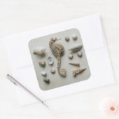 Seepferd und Muscheln Quadratischer Aufkleber (Umschlag)