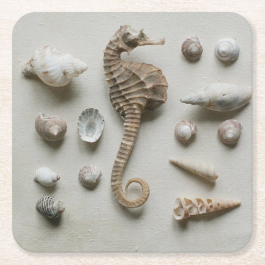 Seepferd und Muscheln Rechteckiger Pappuntersetzer (Vorderseite)