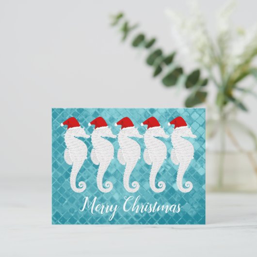 Seepferd Weihnachten (Stehend Vorderseite)