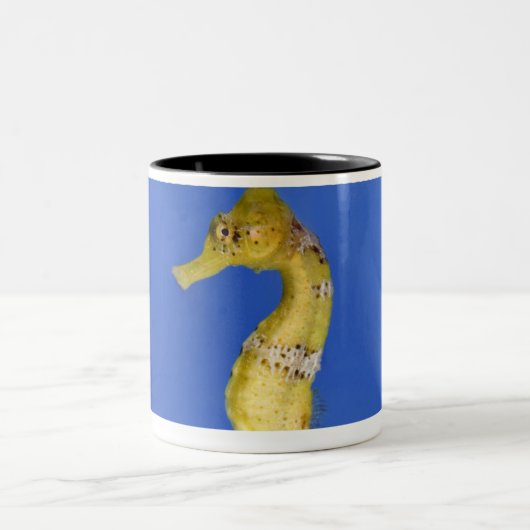 Seepferd Zweifarbige Tasse (Mittel)
