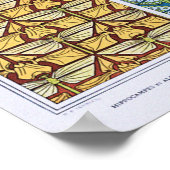 Seepferdchen, Eidechsen, Libellen, Schmetterlinge Poster (Ecke)