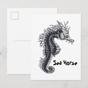 SEEPFERDCHEN POSTKARTE