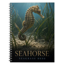 Seepferdchen-Seegrasbetten-Wildtier TIER