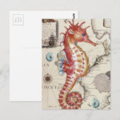 Seepferdchen Shabby Postkarte (Vorne/Hinten)
