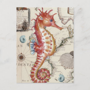 Seepferdchen Shabby Postkarte