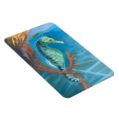 Seepferdchen unter Seetang Magnet (Rechte Seite)