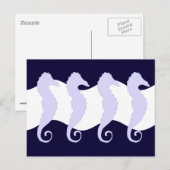 Seepferde 3 postkarte (Vorne/Hinten)