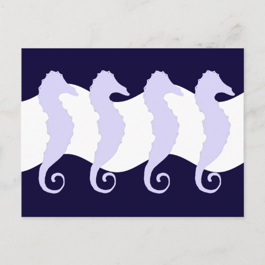 Seepferde 3 postkarte (Vorderseite)