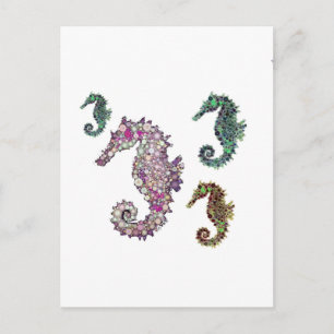 Seepferde Art von LeahG Postkarte
