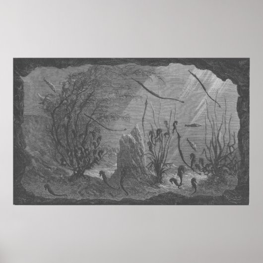 Seepferde aus antiken Aquarien Poster (Vorne)