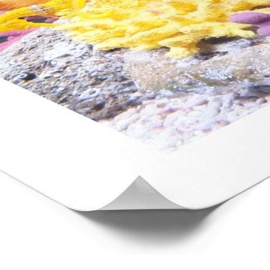 Seepferde Poster (Ecke)