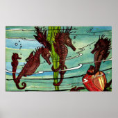 Seepferde Poster (Vorne)