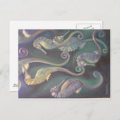 Seepferde Postkarte (Vorne/Hinten)