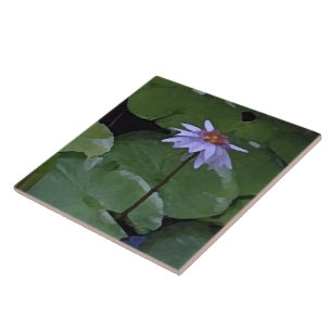 Seerose Fliese