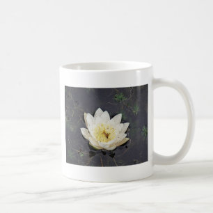 Seerose Kaffeetasse