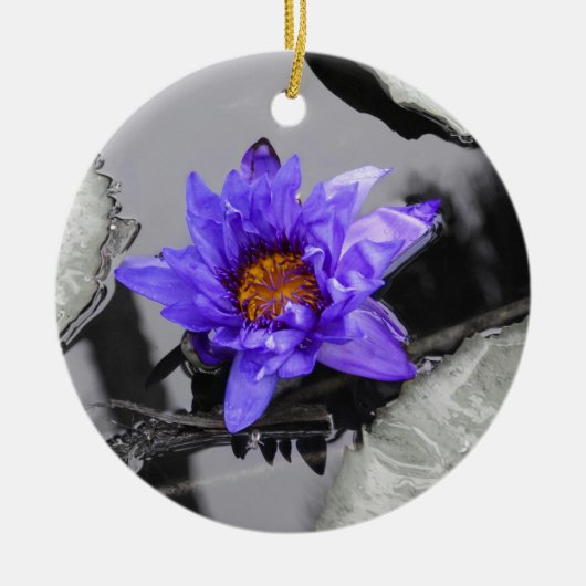 Seerose Keramik Ornament (Vorne)