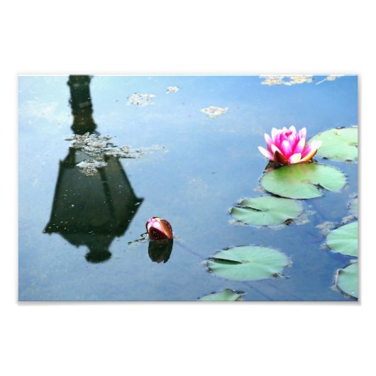 Seerose mit Reflexion der Laterne Fotodruck (Vorne)
