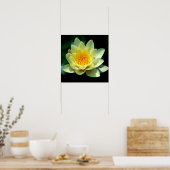 Seerose Poster (Küche)