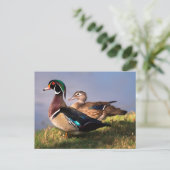Seerose, Waldschnatterente Postkarte (Stehend Vorderseite)