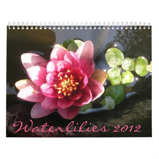 Seerosen 2012, Doppelseite Kalender (Titelbild)