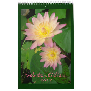 Seerosen 2012, Einzelseite Kalender