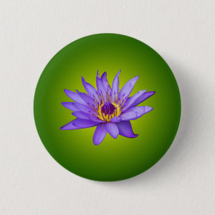 Seerosen-Blumen-Teich Wasserpflanze Lila Wasserblü Button