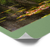Seerosen Foto Poster (Ecke)
