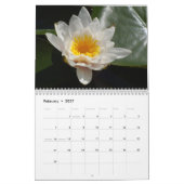Seerosen-Kalender 2026 Kalender (Feb 2027)