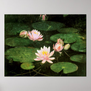 Seerosen, Kunstgemälde von Abbott Thayer Poster