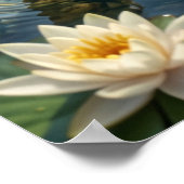 Seerosen Otter Fluss Freude Poster (Ecke)