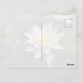 Seerosen-Postkarte Postkarte (Rückseite)