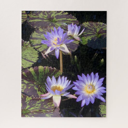 Seerosen Puzzle (Vertikal)