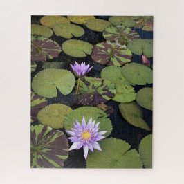 Seerosen Puzzle