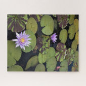 Seerosen Puzzle (Horizontal)