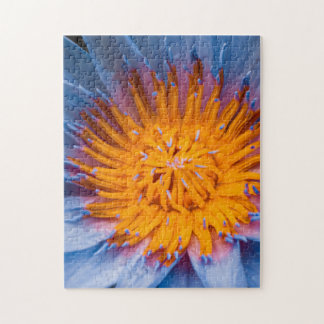 Seerosen-Puzzle 28 cm x 36 cm 252 Teile Puzzle