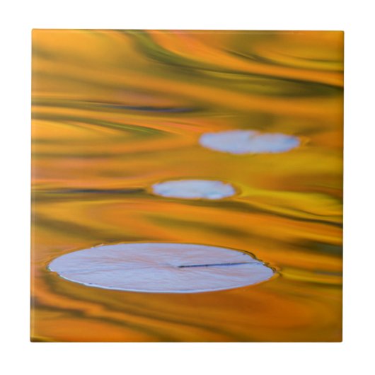 Seerosenblatt auf orangem Wasser, Kanada Fliese (Vorderseite)