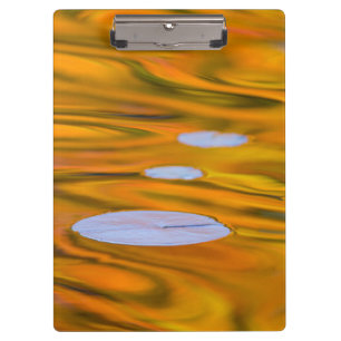 Seerosenblatt auf orangem Wasser, Kanada Klemmbrett