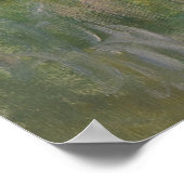 Seerosenteich Monet 1904 Poster (Ecke)